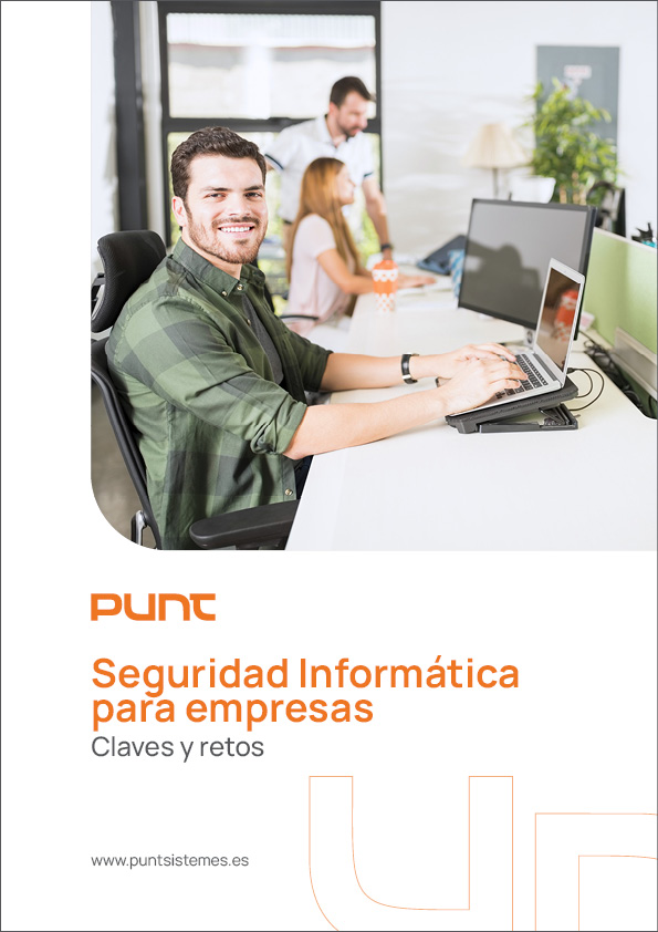 Seguridad Informática para empresas