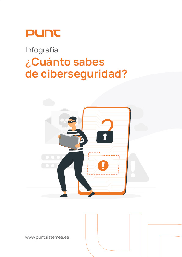 Infografía: Ciberseguridad